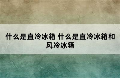 什么是直冷冰箱 什么是直冷冰箱和风冷冰箱